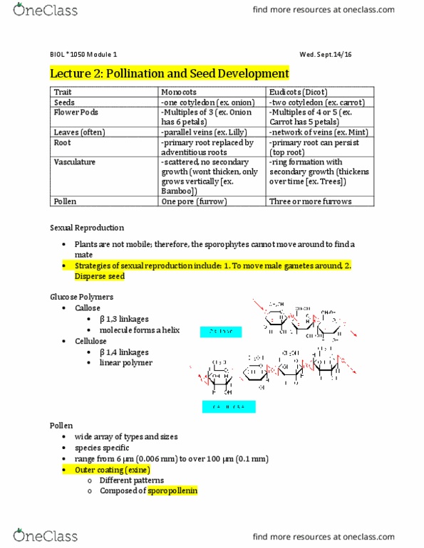 BIOL 1050 Lecture Notes - Lecture 2: Seed, Clover, Gametophyte thumbnail