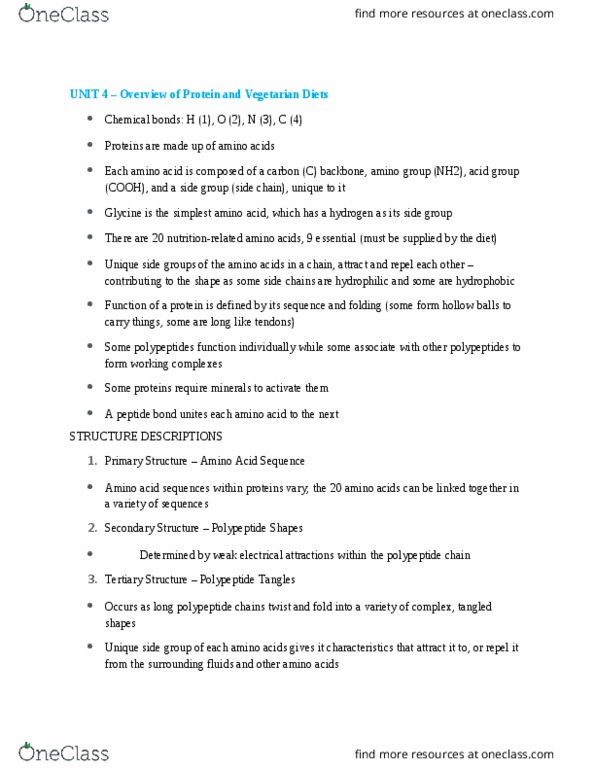 HLTH 230 Chapter Notes - Chapter 4: Protein Catabolism, Glycogen, Gluconeogenesis thumbnail