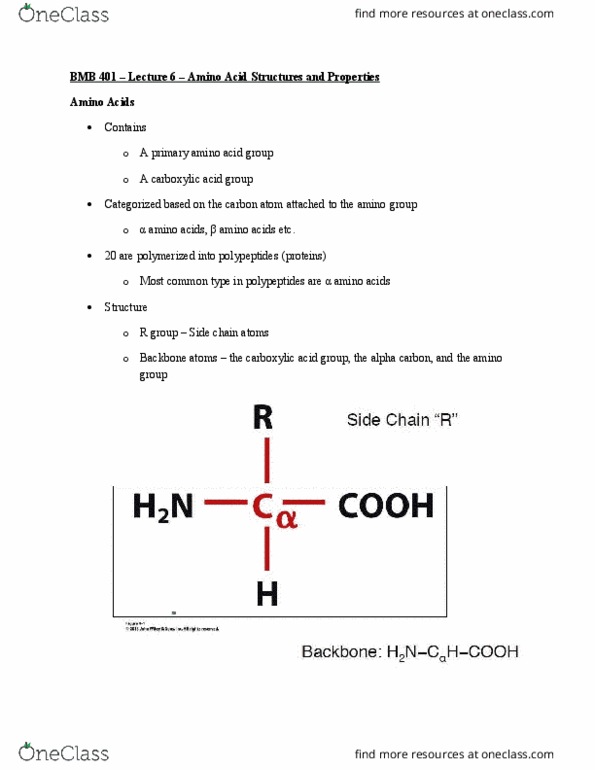 B M B 401 Lecture Notes - Lecture 6: Chief Operating Officer, Histidine, Aspartic Acid thumbnail