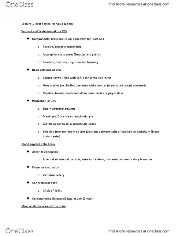 PHS 4300 Lecture Notes - Lecture 1: Subthalamic Nucleus, Autonomic Nervous System, Midbrain thumbnail