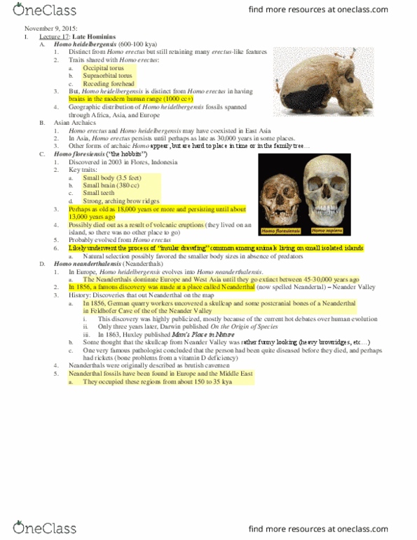 ANT 1 Lecture Notes - Lecture 17: Paranthropus Aethiopicus, Pelvis, Sivapithecus thumbnail