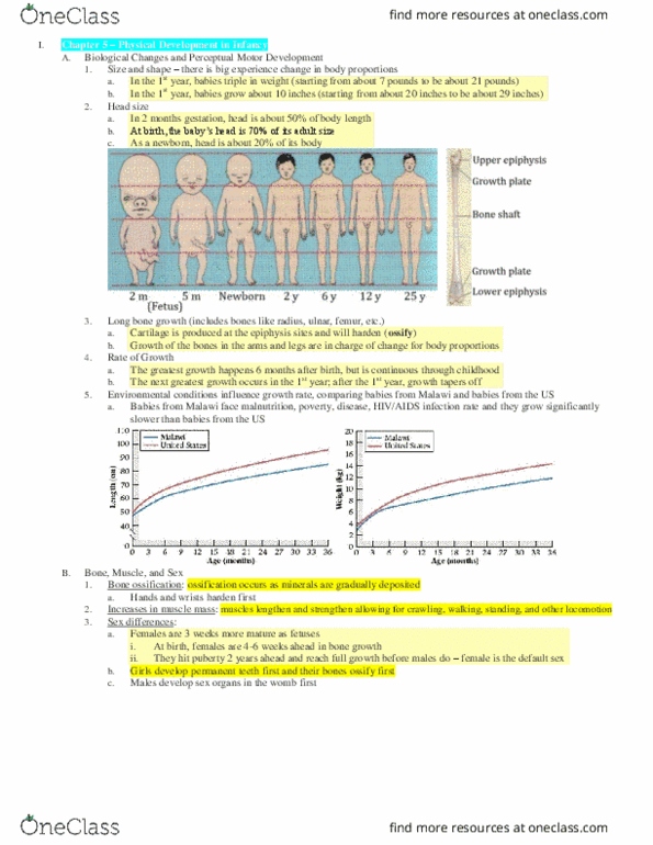 HDE 100A Lecture Notes - Lecture 5: Learning Object, Depth Perception, Intentionality thumbnail