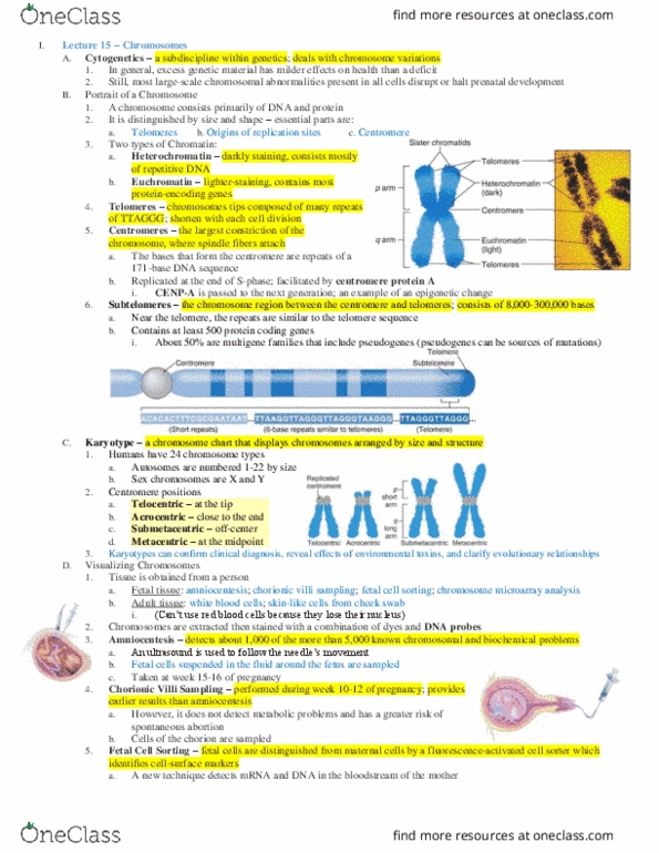 MCB 10 Lecture 15: MCB10 Lect15 - Chromosomes Pt1 thumbnail