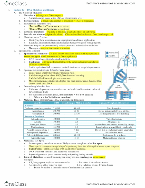 MCB 10 Lecture Notes - Lecture 13: Aniridia, Haemophilia A, Achondroplasia thumbnail