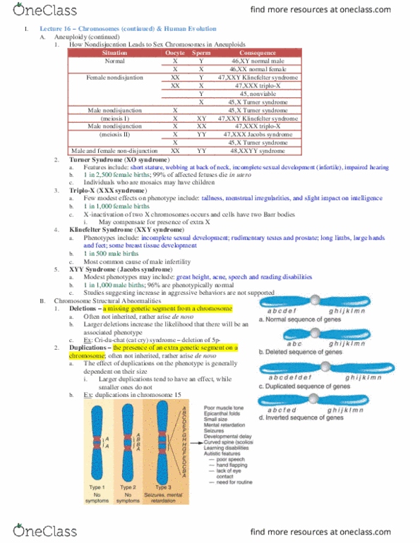 MCB 10 Lecture 16: MCB10 Lect16 - Chromosomes Pt2, Human Evolution thumbnail