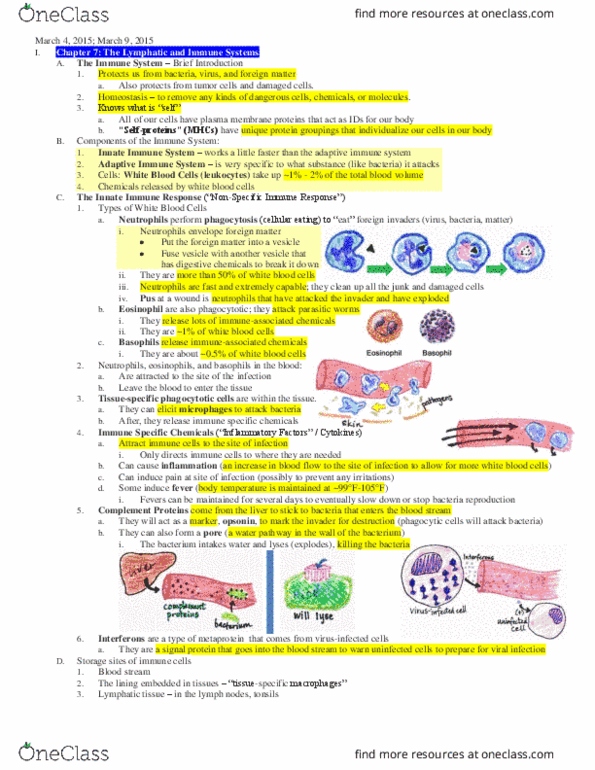 NPB 10 Lecture Notes - Lecture 9: Immunoglobulin A, Invader Ii, Basophil thumbnail