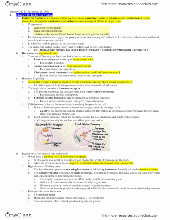 NPB 10 Lecture Notes - Lecture 4: Circulatory System, Pituitary Gland, Cerebral Cortex thumbnail