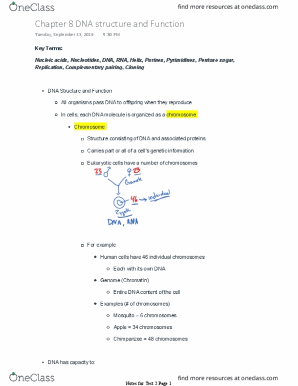 BSC 1005 Lecture Notes - Lecture 15: Dna Replication, Pyrimidine, Purine thumbnail