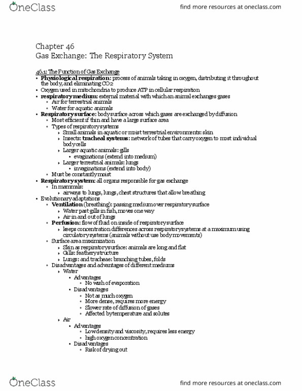 BIOL BC 1500x Chapter Notes - Chapter 46: External Intercostal Muscles, Internal Intercostal Muscles, Countercurrent Exchange thumbnail