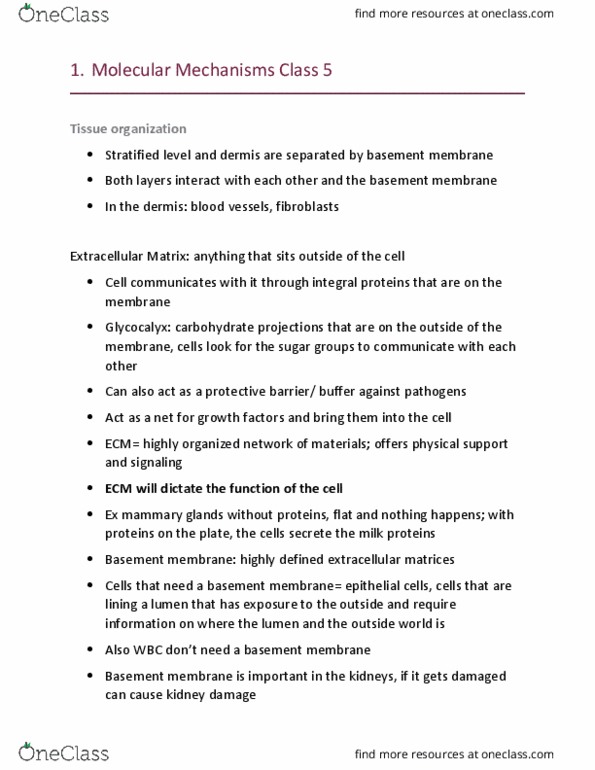 HSS 2305 Lecture Notes - Lecture 5: Ultimate Tensile Strength, Fibroblast, Collagen thumbnail