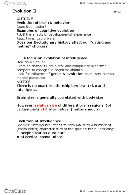 PSYC1110 Lecture Notes - Lecture 4: Scatter Plot, Central Nervous System, Encephalization thumbnail