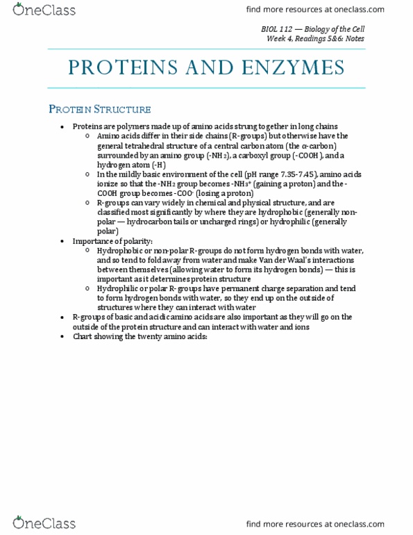 BIOL 112 Chapter Notes - Chapter 4.1, 6.5: Amine, Protein Structure, Hydrophile thumbnail