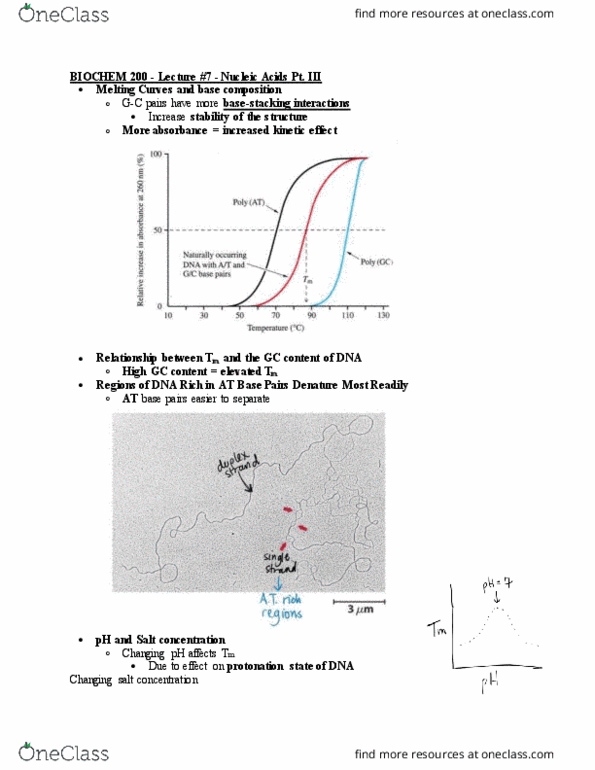 BIOCH200 Lecture Notes - Lecture 7: Gc-Content, Cell Nucleus, Base Pair thumbnail