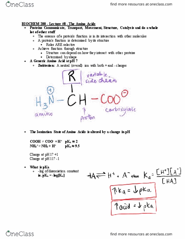 BIOCH200 Lecture Notes - Lecture 8: Acid Dissociation Constant, Zwitterion, Amine thumbnail