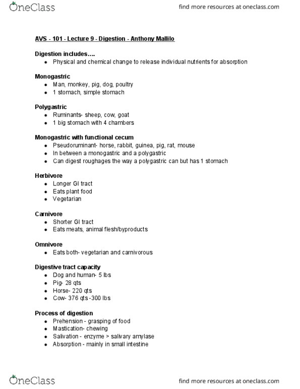 AVS 101 Lecture Notes - Lecture 9: Monogastric, Gastrointestinal Tract, Pseudoruminant thumbnail