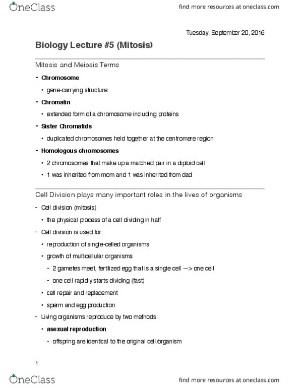 BIOL 190 Lecture Notes - Lecture 5: Sister Chromatids, Cell Division, Chromatin thumbnail