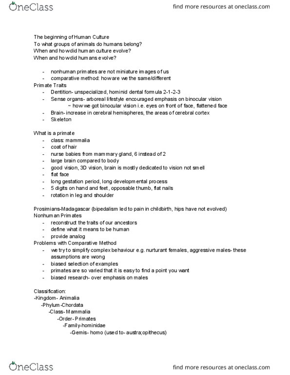 Anthropology 1025F/G Lecture Notes - Lecture 2: Sahelanthropus, Mammary Gland, Cerebral Cortex thumbnail