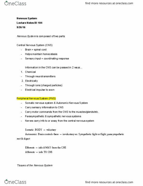 BI 104 Lecture Notes - Lecture 16: Somatic Nervous System, Neuroglia, Autonomic Nervous System thumbnail