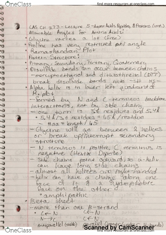 CAS CH 273 Lecture 5: Amino Acids, Peptides, and Proteins (cont.) thumbnail