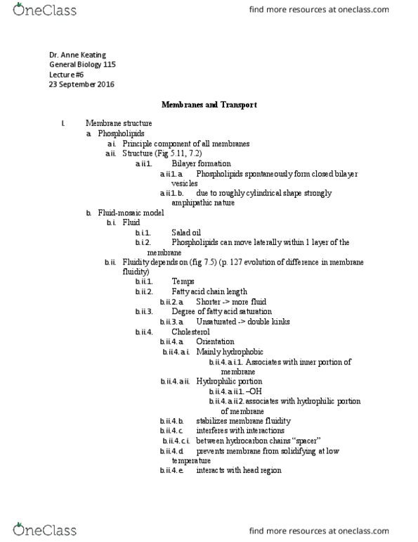 01:119:115 Lecture Notes - Lecture 6: Lipid Bilayer, Passive Transport, Transport Protein thumbnail