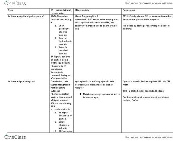 BIOLOGY 2B03 Lecture Notes - Lecture 5: Pex5, Integral Membrane Protein, Translocon thumbnail