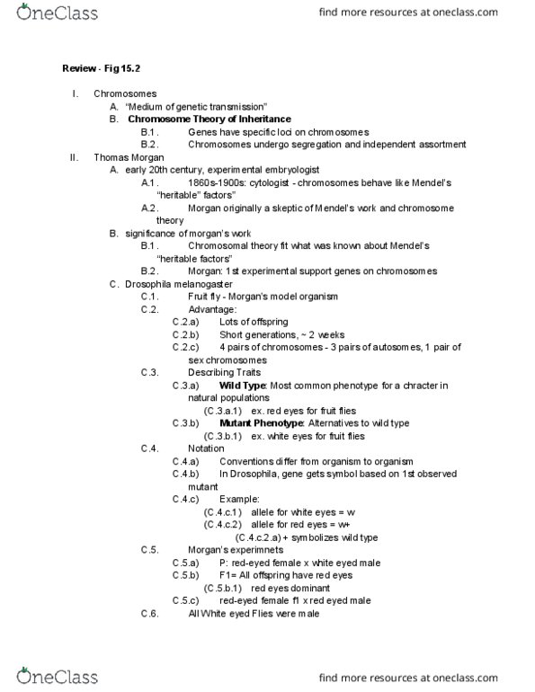 01:119:115 Lecture Notes - Lecture 13: Drosophila Melanogaster, Y Chromosome, Eye Color thumbnail