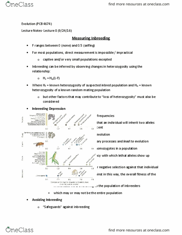 PCB 4674 Lecture Notes - Lecture 8: Zygosity, Allele Frequency, Inbreeding thumbnail