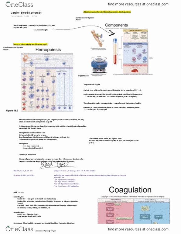 document preview image