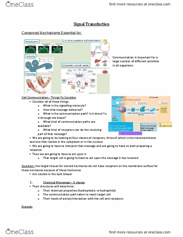 BIO 1140 Lecture Notes - Lecture 7: Arachidonic Acid, Caffeine, Biosynthesis thumbnail