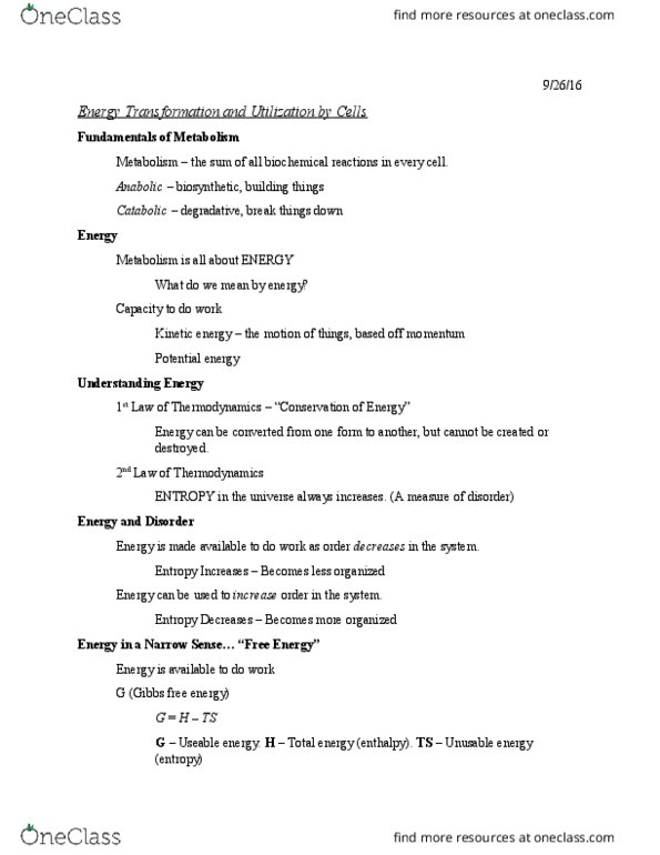 BSCI 105 Lecture Notes - Lecture 8: Gibbs Free Energy, Kinetic Energy, Thermodynamics thumbnail