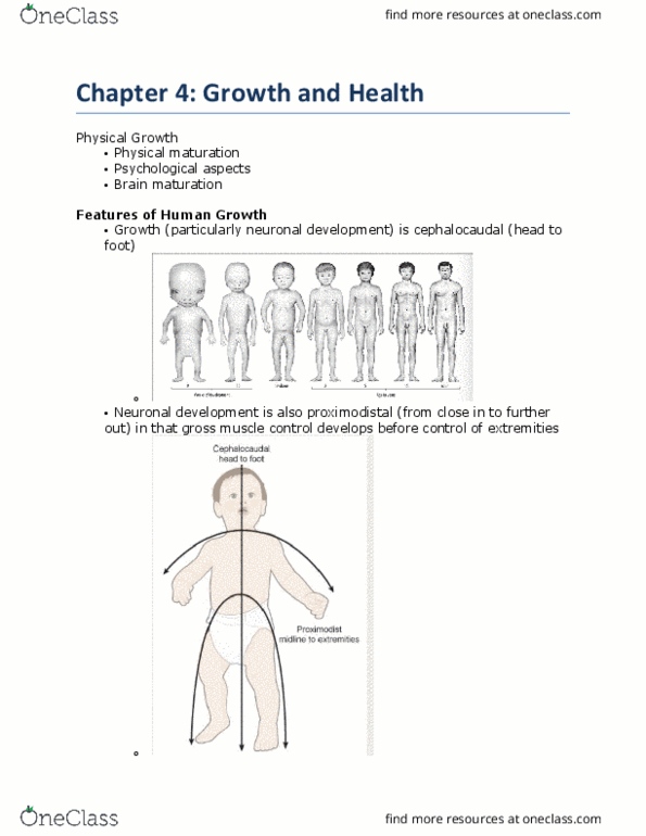 PSY210H5 Lecture Notes - Lecture 3: Neural Tube, Functional Magnetic Resonance Imaging, Peripheral Nervous System thumbnail