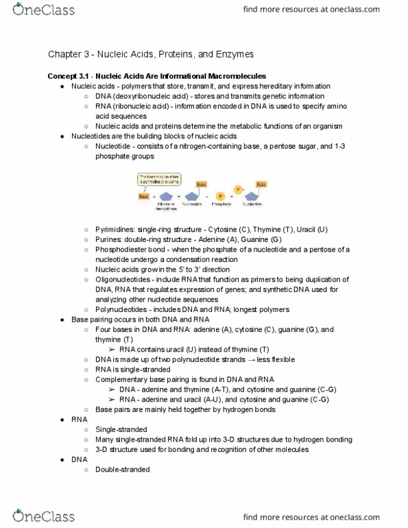 BIO 110 Chapter Notes - Chapter 3: Peptide Bond, Peptide, Covalent Bond thumbnail