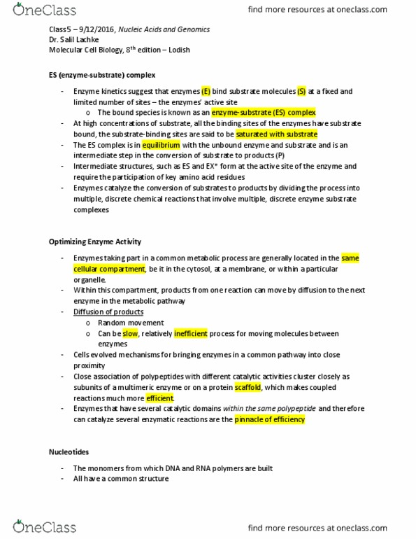 BISC401 Lecture Notes - Lecture 6: The Double Helix, Chromosome, Gc-Content thumbnail