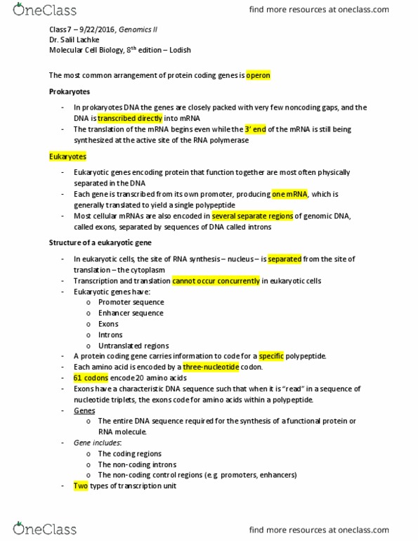 BISC401 Lecture Notes - Lecture 7: Mitosis, Metaphase, Telomere thumbnail