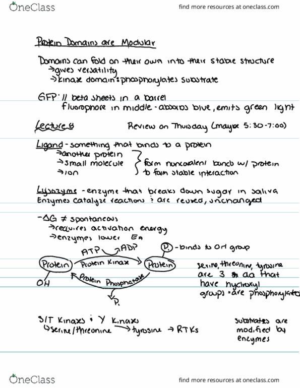 BIOLOGY 285 Lecture Notes - Lecture 8: Intrauterine Device, Beta Sheet thumbnail