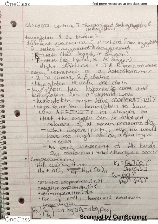 CAS CH 273 Lecture 7: Receptor-Ligand Binding, Myoglobin, and Hemoglobin_ Enzyme Specificity, Catalysis, and Mechanism thumbnail