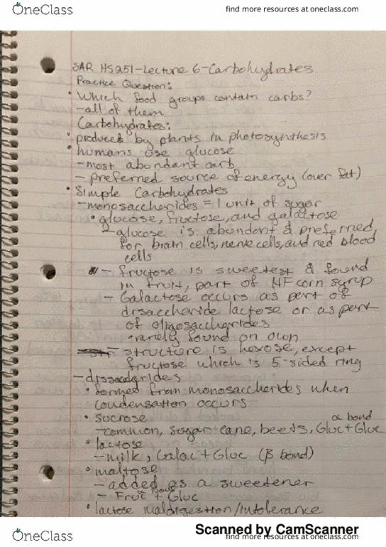 SAR HS 251 Lecture 6: Carbohydrates thumbnail