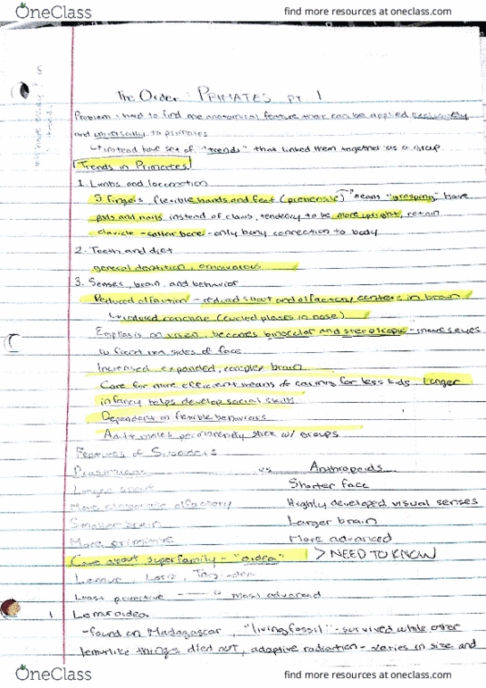ANTHRO 1 Lecture Notes - Lecture 7: Colobinae, Uttan, Arri thumbnail