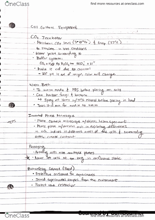 BIOE 2365 Lecture 8: Cell Culture thumbnail