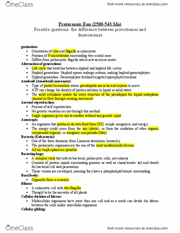 BIO 1130 Lecture Notes - Lecture 99: Hominidae, Spiralia, Basidium thumbnail