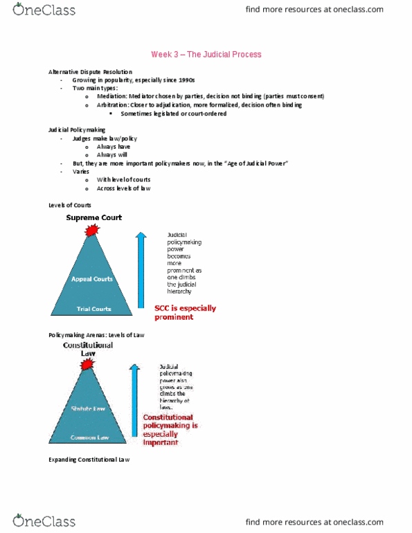 POLS 3130 Lecture Notes - Lecture 3: Downtown Eastside, Equal Protection Clause, Minority Language thumbnail