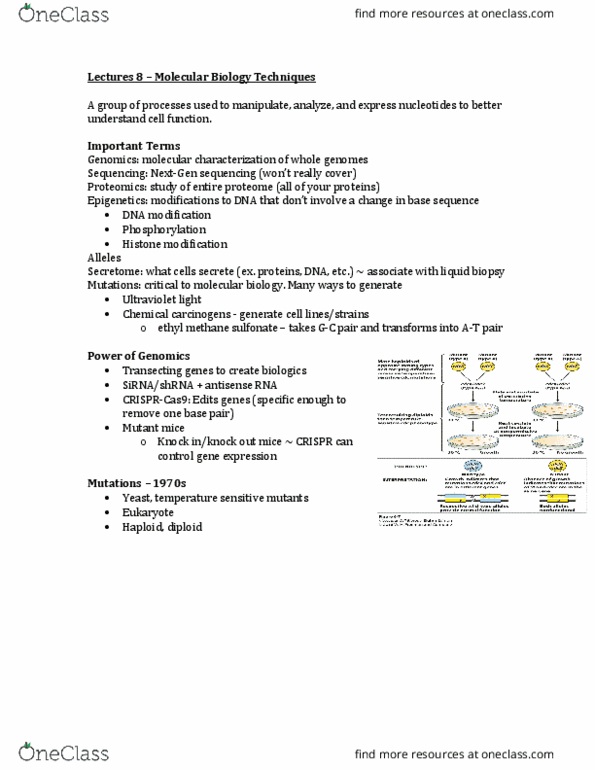 BIOL 311 Lecture Notes - Lecture 7: Reverse Transcriptase, Medical Jurisprudence, Personalized Medicine thumbnail