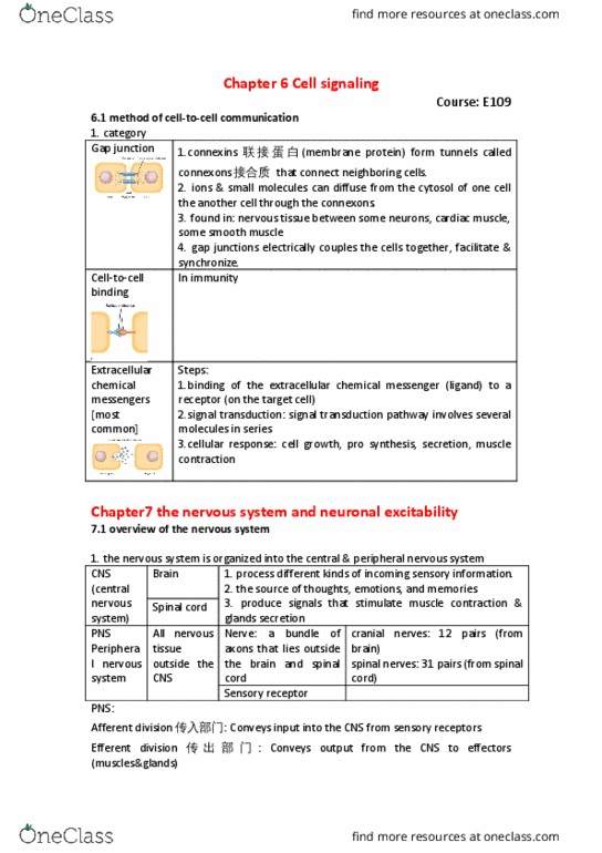 BIO SCI E109 Chapter Notes - Chapter 6: Somatosensory System, Enteric Nervous System, Autonomic Nervous System thumbnail