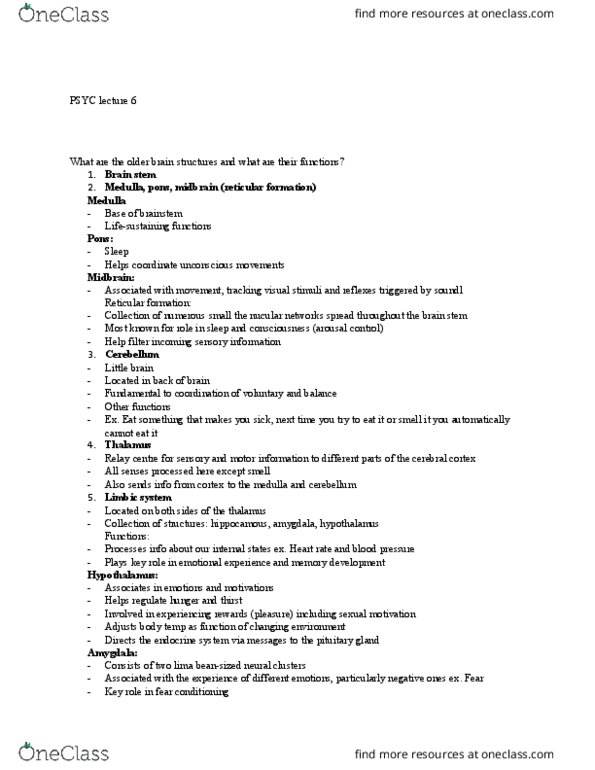PSYC 1000 Lecture Notes - Lecture 6: Lesion, Corpus Callosum, Optic Chiasm thumbnail