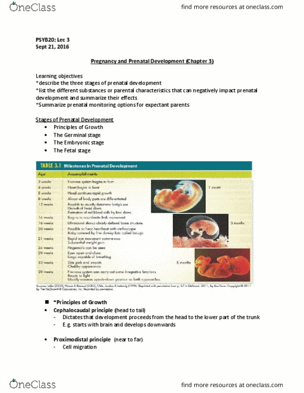 PSYB20H3 Lecture Notes - Lecture 3: Blood Sugar, Toxoplasmosis, Blood Proteins thumbnail