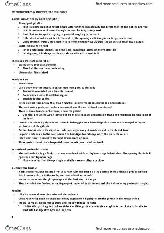 BIO 2135 Lecture Notes - Lecture 11: Cecum, Mostow Rigidity Theorem, Lamprey thumbnail