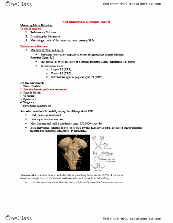 Kinesiology 3480A/B Lecture Notes - Lecture 2: Neuroimaging, Muscular Dystrophy, Perforated Hardboard thumbnail