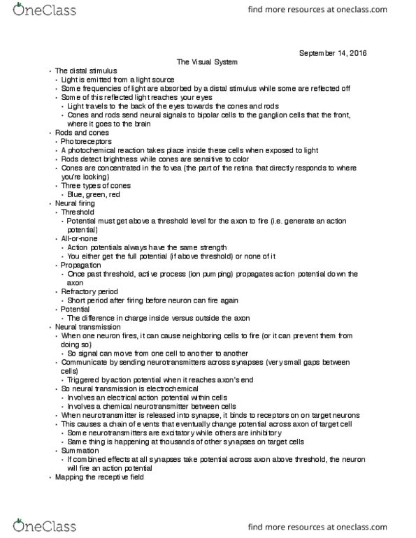 PSYCH 240 Lecture Notes - Lecture 3: Mechanistic Organic Photochemistry, Retina, Parietal Lobe thumbnail