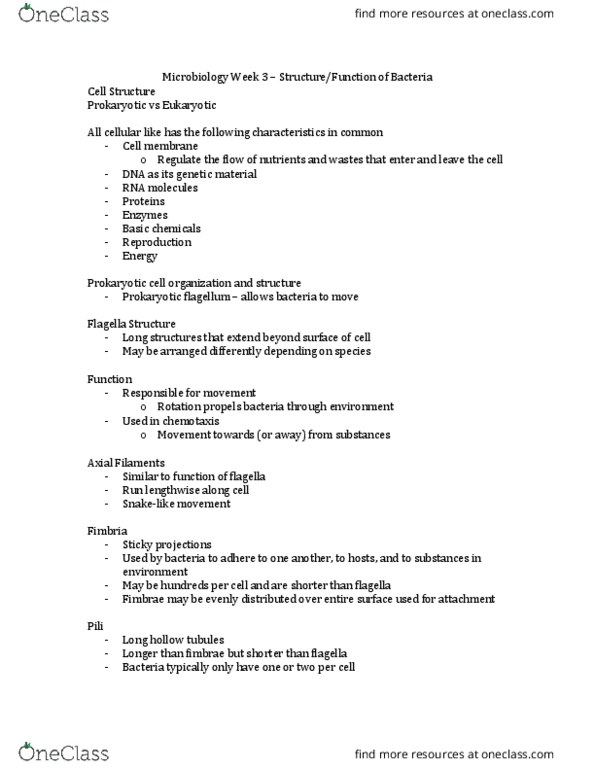 BIOL 2900 Lecture Notes - Lecture 3: Prokaryote, Polysaccharide, Osmotic Shock thumbnail