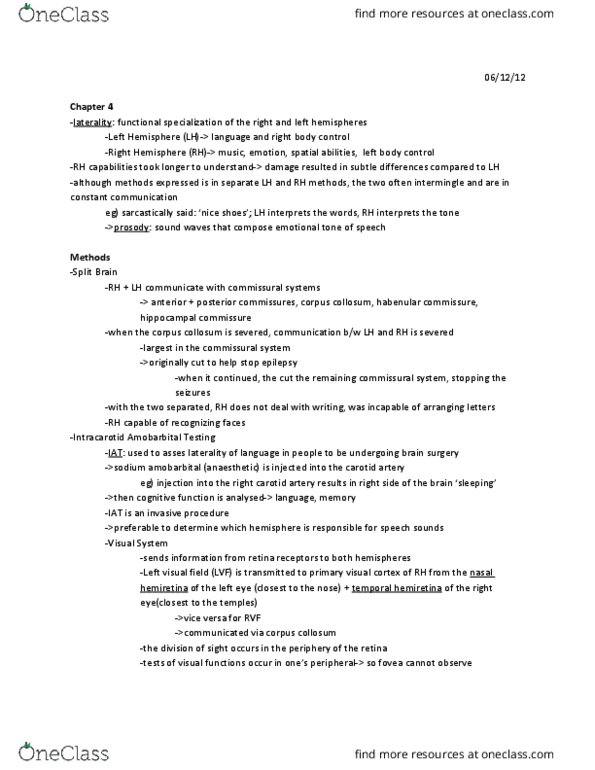 PSYB65H3 Chapter Notes - Chapter 4: Lateral Sulcus, Spatial Frequency, Commissure thumbnail